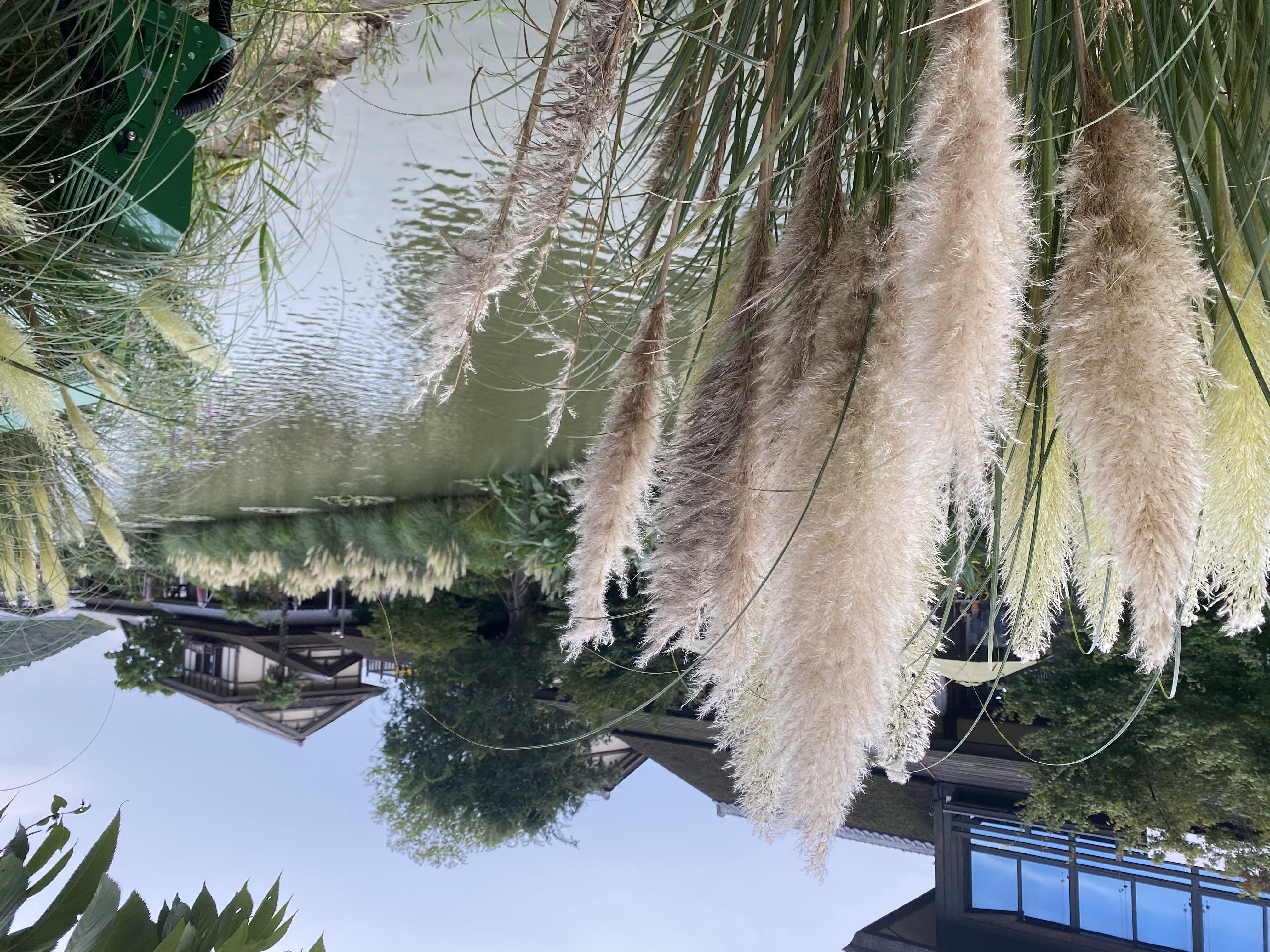 拈花湾5